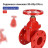 Задвижка клиновая 30ч39р (аналог МЗВГ) GVWN1414S-2W-F-S red Ду50 Ру10/16 фланцевая, корпус - чугун GGG50, уплотнение - силикон, со штурвалом и невыдвижным штоком, цвет - красный в Перми
